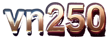 vn250 logo